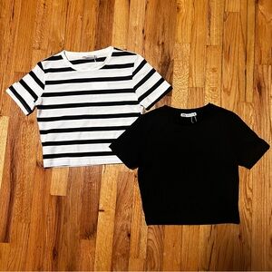 Zara Crop Top Tee T-shirt Lot of 2 Size S